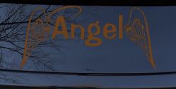 Angel Text With Wings and Halo Christian Car or Truck Window Decal Sticker (Copper)