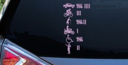 Keeping Count Things You've Hit with Your Car Funny Car or Truck Window Decal Sticker (Lilac)