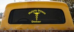 Multiple Orgasm Doner Funny Car or Truck Window Decal Sticker (Yellow)