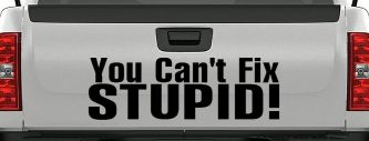 You Can't Fix Stupid Funny Car or Truck Window Decal Sticker (Black)