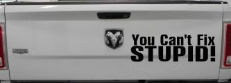 You Can't Fix Stupid Funny Car or Truck Window Decal Sticker (Black)