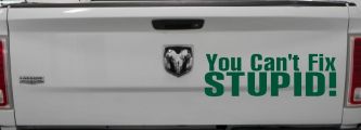 You Can't Fix Stupid Funny Car or Truck Window Decal Sticker (Dark Green)