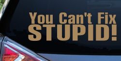 You Can't Fix Stupid Funny Car or Truck Window Decal Sticker (Light Brown)