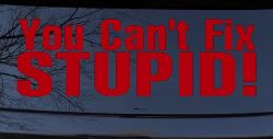 You Can't Fix Stupid Funny Car or Truck Window Decal Sticker (Red)