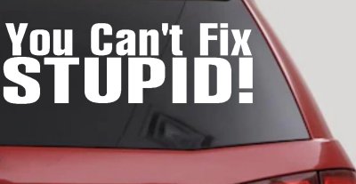 You Cant Fix Stupid Funny Decal Sticker for Car Truck Window Vinyl