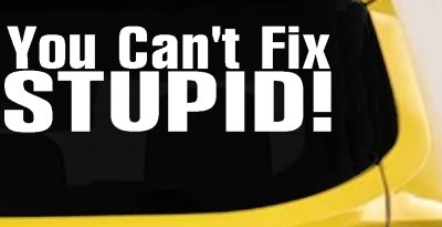 You Cant Fix Stupid Funny Decal Sticker for Car Truck Window Vinyl