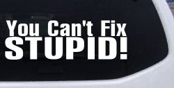 You Can't Fix Stupid Funny Car or Truck Window Decal Sticker