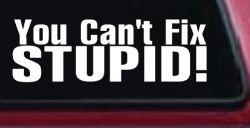 You Can't Fix Stupid Funny Car or Truck Window Decal Sticker
