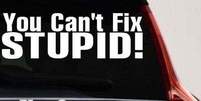 You Cant Fix Stupid Funny Decal Sticker for Car Truck Window Vinyl