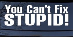You Can't Fix Stupid Funny Car or Truck Window Decal Sticker