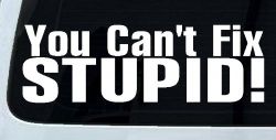 You Can't Fix Stupid Funny Car or Truck Window Decal Sticker