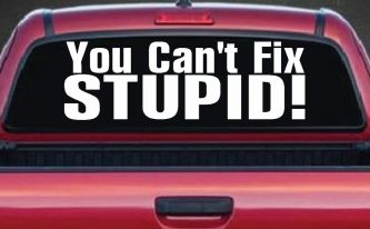 You Can't Fix Stupid Funny Car or Truck Window Decal Sticker