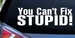 You Can't Fix Stupid Funny Car or Truck Window Decal Sticker