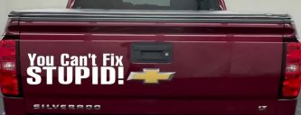 You Can't Fix Stupid Funny Car or Truck Window Decal Sticker (White)