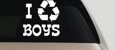 I Recycle Boys Funny Car Truck Window Decal Sticker Vinyl Humor