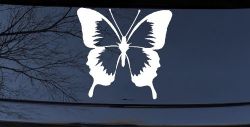 Butterfly Butterflies Car or Truck Window Decal Sticker