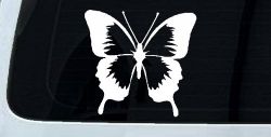 Butterfly Butterflies Car or Truck Window Decal Sticker