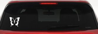 Butterfly Butterflies Car or Truck Window Decal Sticker (White)