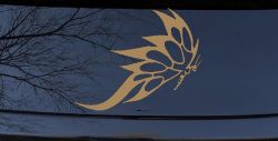 Tribal Butterfly Butterflies Car or Truck Window Decal Sticker (Light Brown)