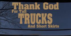 Thank God For Tall Trucks and Short Skirts Funny Car or Truck Window Decal Sticker (Light Brown)