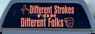 Different Strokes for Different Folks Funny Car or Truck Window Decal Sticker (Coral)