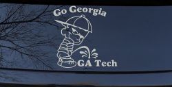 Go Georgia Pee On Ga Tech Car or Truck Window Decal Sticker (Light Gray)