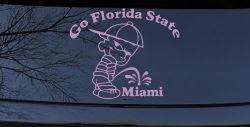 Go Florida State Pee on Miami Car or Truck Window Decal Sticker (Lilac)