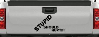 Stupid Should Hurt Funny Car or Truck Window Decal Sticker (Black)