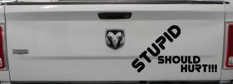 Stupid Should Hurt Funny Car or Truck Window Decal Sticker (Black)