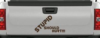 Stupid Should Hurt Funny Car or Truck Window Decal Sticker (Brown)