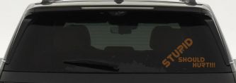 Stupid Should Hurt Funny Car or Truck Window Decal Sticker (Copper)
