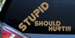 Stupid Should Hurt Funny Car or Truck Window Decal Sticker (Light Brown)