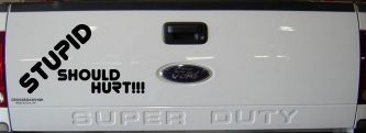 Stupid Should Hurt Funny Car or Truck Window Decal Sticker (Matte Black)