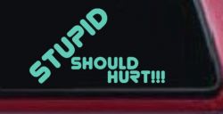 Stupid Should Hurt Funny Car or Truck Window Decal Sticker (Mint)