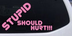 Stupid Should Hurt Funny Car or Truck Window Decal Sticker (Pink)