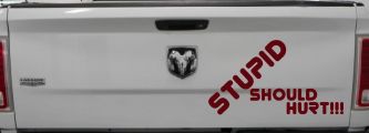 Stupid Should Hurt Funny Decal - Car Truck Window Vinyl Sticker (Purple Red)