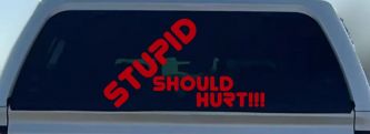 Stupid Should Hurt Funny Car or Truck Window Decal Sticker (Red)