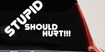 Stupid Should Hurt Funny Decal - Car Truck Window Vinyl Sticker
