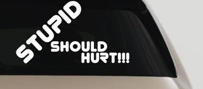 Stupid Should Hurt Funny Decal - Car Truck Window Vinyl Sticker