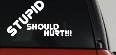 Stupid Should Hurt Funny Decal - Car Truck Window Vinyl Sticker