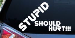 Stupid Should Hurt Funny Car or Truck Window Decal Sticker