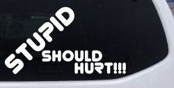 Stupid Should Hurt Funny Car or Truck Window Decal Sticker