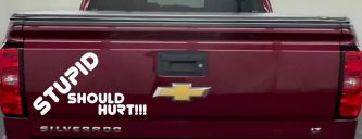 Stupid Should Hurt Funny Car or Truck Window Decal Sticker (White)