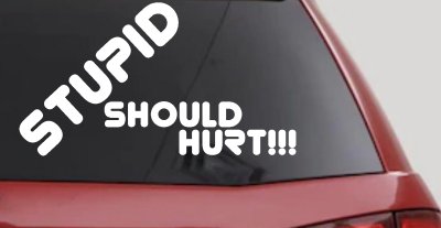 Stupid Should Hurt Funny Decal - Car Truck Window Vinyl Sticker