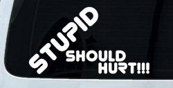 Stupid Should Hurt Funny Car or Truck Window Decal Sticker