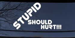 Stupid Should Hurt Funny Car or Truck Window Decal Sticker