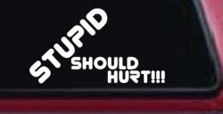 Stupid Should Hurt Funny Car or Truck Window Decal Sticker