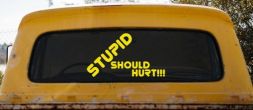 Stupid Should Hurt Funny Decal - Car Truck Window Vinyl Sticker (Yellow)