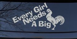 Every Girl Needs A Big Rooster Cock Funny Car or Truck Window Decal Sticker (Light Gray)