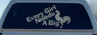 Every Girl Needs A Big Rooster Cock Funny Car or Truck Window Decal Sticker (Telegrey)